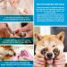 ZephyrPaws Pet Paint Pen Set - 12 Colors Safe, Non-Toxic Nail Polish for Dogs - DIY Beautiful Pet Nail Ideas - Fast Drying & Odorless - Buy Online on GoSupps.com