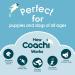 Coachi Training Whistle | Obedience & Recall | Strong Clear Sound | Lightweight & Compact | Adjustable Reflective Lanyard | Puppy & Dog Training Navy - Buy Online on GoSupps.com