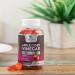 Apple Cider Vinegar Gummy Vitamins 1000mg Vegan Detox & Cleanse with Beet Root, B12 & Natural Apple Flavor 60 Gelatin-Free Gummies - Buy Online on GoSupps.com