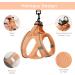 Buy Bella & Pal Dog Harness for Small Dogs - Reflective Breathable Air Mesh with Leash Perfect for Puppies & Cats - XS Fit (30-35cm) - Peach Color - Buy Online on GoSupps.com