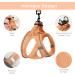 Buy Bella & Pal Dog Harness for Small Dogs - Reflective Breathable Air Mesh with Leash - Perfect for Puppies & Cats - Peach Color - 40-45cm - Buy Online on GoSupps.com