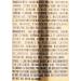 Monster Energy Ultra Gold 473mL Cans Pack of 12 - Buy Online on GoSupps.com
