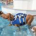 Kuoser Dog Life Jacket with Reflective Stripes | High Visibility & Adjustable | Ripstop Pet Preserver for Small, Medium, Large Dogs | Blue Camo | XX-Large - Buy Online on GoSupps.com