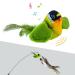 Tohdnc cat bird toys with a cat stick simulation flying birds cat toy interactively with springs interactive cat toy for indoor kitty kitten practice greenen