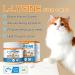 L-Lysine Powder for Cats 120g Lysine Powder Supports Cats Immune System Respiratory Health & Visual Function Lysine Powder Improve Cats Eye Discharge Pets Health Supplies Salmon Flavor - 4.23oz - Buy Online on GoSupps.com