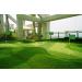 Mini Golf Flags 8x6 for Yard & Indoor Putting Green - 3 Pack (Green) - Durable 420D Nylon Pin Flag - Buy Online on GoSupps.com