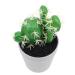 Alipis Potted Cactus Ornament Fake Planta Decor Plastic Flower Pots Plastic Plant Pots Porcelain Artificial Greenery Desktop Adornments Simulation Cactus Statue Silk Flowers Fake Bonsai Green 19X9CM
