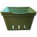 Green Fiber Fruit Berry Pulp Basket Container - 20 1 Quart - Ideal for Blueberries, Strawberries, Tomatoes, and Produce - Buy Online on GoSupps.com