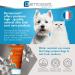 Sunfree | Mineral Sun Protection for Pets | Moisturizing UVA/UVB Protection for Dogs & Cats | Non-Fat Formula | Ideal for Sensitive Skin & Light Fur Colors - Buy Online on GoSupps.com