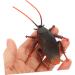 BESTonZON cockroach bug insect Realistic Roaches Toys Toy game props artificial Fake Cockroach halloween prank toys halloween fake Model child Vivid Cockroach solid props Gift tool - Buy Online on GoSupps.com