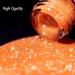 Glitter Nail Polish - Orange Pearl Nail Polish - Shimmer Holographic Mermaid Nail Polish - Pearlescent Shell Glitter Orange Nail Varnish - Quick Dry Glimmer Nail Art Varnish All Seasons Nail Polish - Buy Online on GoSupps.com
