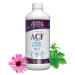 Buried Treasure ACF Advanced Immune Support 16 oz with Elderberry Echinacea and Herbal Blend for Immunity Boost Dietary Supplement