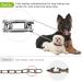 Lifeswell 15-Inch Dog Tie Out Stake & 30ft Heavy Duty Stainless Steel Chain for Dogs up to 125lbs | Perfect for Courtyard & Camping - Buy Online on GoSupps.com