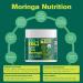 KULI KULI Organic Pure Moringa Capsules, 60 CT - Buy Online on GoSupps.com