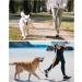Hurluksi Dog Waist Lead - Hands-Free Heavy Duty Running Belt Leash with Bungee Retractable Design and Sponge Handle (Orange) - Buy Online on GoSupps.com