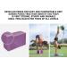 Clever Yoga 2 Pack Blocks and Strap Set - Lightweight High Density Foam Blocks (9x6x4 Inches) & 8FT Cotton Strap for Yoga Beginners - Purple - Buy Online on GoSupps.com