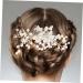 FRCOLOR Bridal Comb Bridal Accessories Wedding Headpiece for Bride Accessories Prom Hair Accessories Hair Combs for Wedding Hair Accessories for Prom Tiara Bride Hair Comb Alloy - Buy Online on GoSupps.com