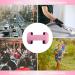 CUIFULI Kids Earmuffs - Noise Reduction Headphones for Babies & Toddlers 12-36 Months - Pink - Buy Online on GoSupps.com