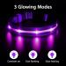Masbrill LED Luminous Dog Collar - Waterproof Illuminated Safety with 3 Flashing Lights for Small Medium & Large Dogs - Purple XS (25-35cm) - Buy Online on GoSupps.com