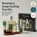 AROMATICA Rosemary Scalp Scaling Trial Kit with Mini Wooden Hair Brush - Clearer, Dandruff-Free Hair - Plant-Based Vegan Shampoo - 3.38 fl. oz Shampoo + 1.01 fl. oz Root Enhancer & Scalp Scrub - Buy Online on GoSupps.com