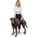 PetSafe CareLift Lifting Harness for Dogs - Size M | Support & Mobility Aid for Easy Lifting In and Out - Buy Online on GoSupps.com