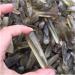 Natural Crystal Rough Natural Crystal Rough 2.2LB 1KG Raw Natural Smoke Citrine Quartz Crystal Original Points Rough Stone - Buy Online on GoSupps.com