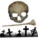 Clips Skull Hair Pin for Woman Halloween Retro Plating Hairdressing Skull Hair Clip Gothic Halloween Hair Accessories for Party Makeup Cosplay Costume - Buy Online on GoSupps.com