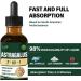 Verdeherb Astragalus Root Extract Herbal Drops for Immune System Support Immunity Health & Energy Boost Tincture Supplements with Rhodiola Rosea Echinacea Elderberry Reishi Ginseng. Huang Qi. 2oz - Buy Online on GoSupps.com