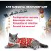 Hipet Cat Surgical Recovery Suit - Anti-Licking Onesie for Abdominal Wounds & Skin Diseases - Replacement E-Collar - Size M Red - Buy Online on GoSupps.com