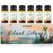 Buy Island Gateway Pure Aromatherapy Essential Oil Set (6-Piece) | Premium Essential Oils for Relaxation & Wellness | International Shipping Available - Buy Online on GoSupps.com