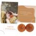 Frcolor 4-Piece Massage Globe Set | Mini Exercise & Decompression Balls | Fitness Supplies for Fascia & Gymnastics | International Shipping - Buy Online on GoSupps.com