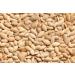 Kerpi Roasted Pumpkin Seeds | High Rich and Nutty Flavour | Delicious and Satisfying Snacks | Roasted Seeds | High Nutrition | Healthy Snacks| 120g (Pack of 4) - Buy Online on GoSupps.com