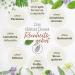 Immune Complex Forte: Echinacea & Zinc Concentrate for Enhanced Immunity - International Shipping Available - Buy Online on GoSupps.com
