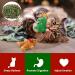Festive Christmas Catnip Toys for Cats - Bite Resistant & Catnip Filled Teething Toy - Buy Online on GoSupps.com