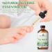 EVOKE OCCU Tea Tree Essential Oil 4 Oz - Pure Oil for Diffuser, Skin, Hair, Body, and Nails - Buy Online on GoSupps.com