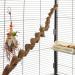 HappyBird | Natural perch for parrots spiral liana 90-100cm / 2-3 cm |