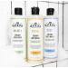 J.R. Watkins Detox Creamy Body Wash - Natural Turmeric & Citron Extracts - 12oz - Buy Online on GoSupps.com