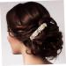 Angoily Alloy Rhinestone Hair Comb Gold Wedding Hair Accessories Bridal Hair Accessories for Women Gold Hair Barrettes Crystal Hair Accessories Tiara Rhinestones Hairpin Bride Pearl - Buy Online on GoSupps.com