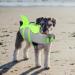 Buy Cit toile Dog Life Jacket - Light & Safe for Water Sports | Reflective with Handle for Small Medium & Large Dogs - Green - Buy Online on GoSupps.com