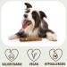 Petlove Olive Wood Dog Chew Toy with Salmon Oil - 2 Pack (S) | Long-lasting Dental Care & Fun for Puppies - Buy Online on GoSupps.com