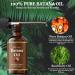 100% Organic Batana Oil for Hair Growth - Nourishing Hair & Skin Reduces Hair Loss with Rosemary - 30ml from Honduras - Buy Online on GoSupps.com