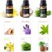 6pc Fragrance Oils Gift Set for Candle Making, Soap Scents & Diffusers - Sandalwood, Lilac, Lavender, Lemon Verbena, Jasmine, Vetiver & Coconut - Top Picks for Soap 6-Pack | Organic Soap Picks - Buy Online on GoSupps.com