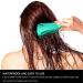 3 Pack Hair Detangler Brush for Afro Textured Hair | Detangling Brush for Natural Hair | Exfoliating Scalp Brush | 3 Count Set - Buy Online on GoSupps.com
