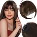 Bangs Hair Clip Bangs Clip in Hair Extensions Air Bangs Hair Clip Tassel Bangs Wispy Air Curved for Women Daily Wear Bangs Clip in Hair (Color : Purple)