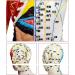 60cm Acupuncture Human Body Acupoint Model Semi-Muscle Acupuncture Point Model with Clear Lettering and Skeletal Viscera Model for Teaching Aids - Buy Online on GoSupps.com