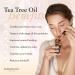 HerbOrganic Tea Tree Oil 100ml - Organic Antiseptic for Acne, Redness, Pimples & Nail Fungus - Aromatherapy - Buy Online on GoSupps.com