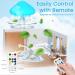 Rain Cloud Humidifier with Remote & Waterfall Lamp - White Noise & Rain Sounds for Bedroom Desk - Air Humidifier - Buy Online on GoSupps.com