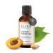 Elixr Apricot Kernel Oil (50 ml (1 pack)