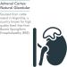 Nutricology Adrenal Cortex Natural Glandular - 100 Vegicaps for Enhanced Wellness | Buy Now! - Buy Online on GoSupps.com