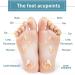 100 Pieces Detox Foot Pads for Deep Cleansing & Improved Sleep | Detoxification & Body Poison Removal - Buy Online on GoSupps.com